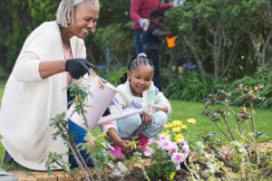 Spring into Wisdom